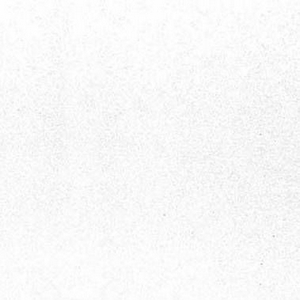 schlicht_amf